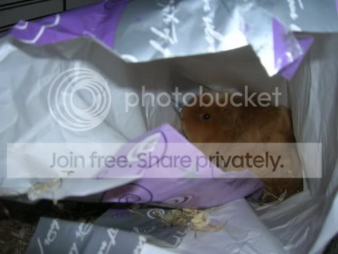 DSCN4277.jpg
