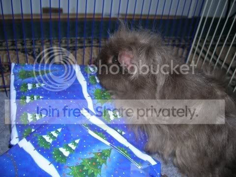 DSCN4300.jpg