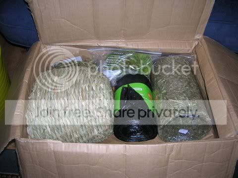 DSCN4308.jpg