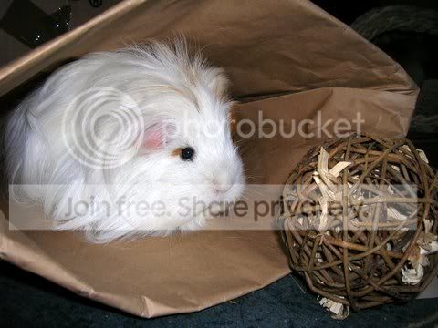 DSCN4315.jpg
