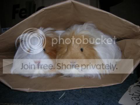 DSCN4317.jpg