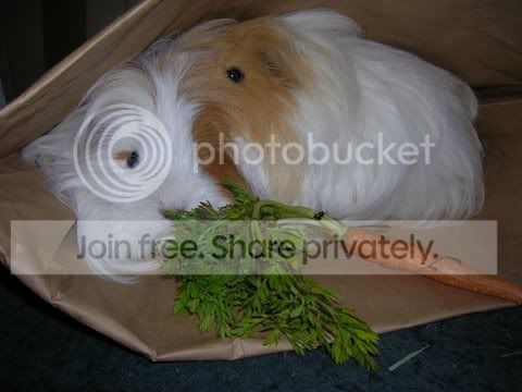 DSCN4322.jpg