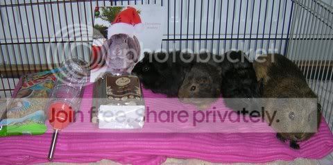 DSCN4373.jpg