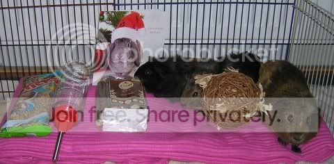 DSCN4375.jpg