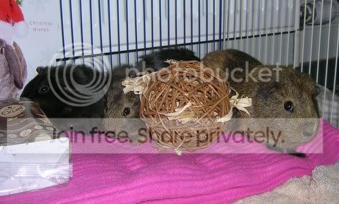 DSCN4376.jpg