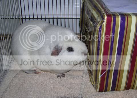 DSCN4378.jpg