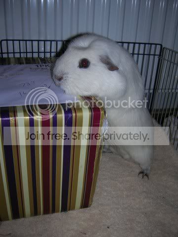 DSCN4381.jpg