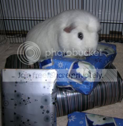 DSCN4383.jpg