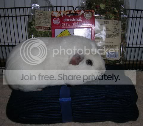 DSCN4385.jpg