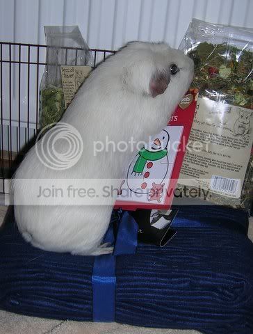 DSCN4389.jpg
