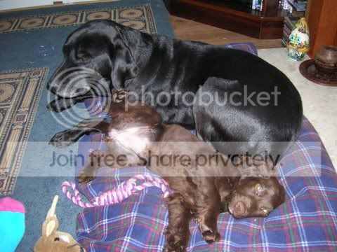 DSCN4396.jpg