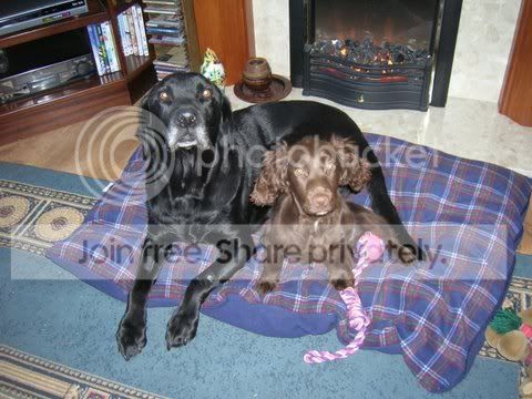 DSCN4398.jpg