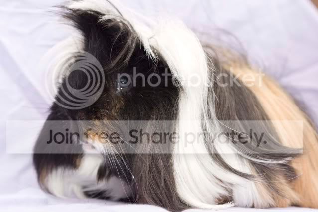 IMG_7586.jpg