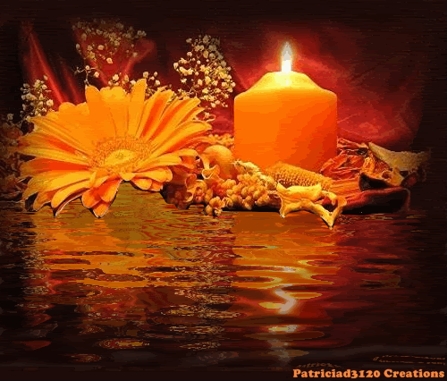   daisy candle water reflection animation animations 100 % made by